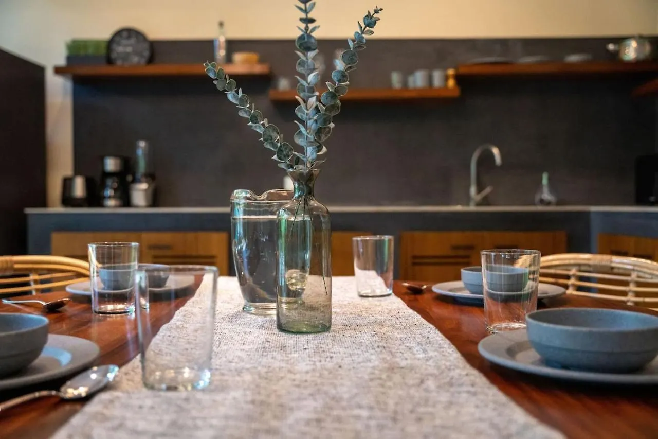 Spacious 1Br Home With Priv Pool Gym Garden Downtown Tulum Apartment
