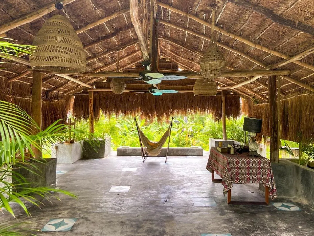 Apartment Spacious 1Br Home With Priv Pool Gym Garden Downtown Tulum