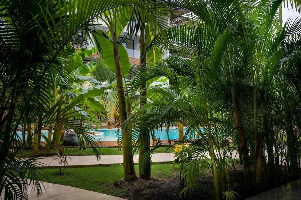 Apartment Spacious 1Br Home With Priv Pool Gym Garden Downtown Tulum Mexico